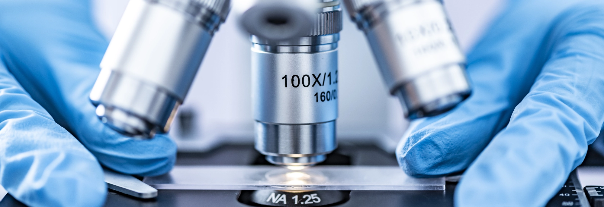 vitasangius blutreinigung apherese und haemoperfusion